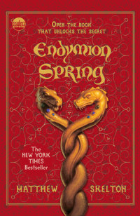 Cover of Endymion Spring