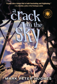 Book cover for A Crack in the Sky