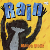 Cover of Rain