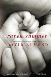 Book cover for Raven Summer