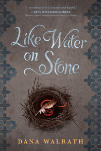 Book cover for Like Water on Stone