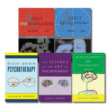 The Allan Schore Bookshelf: Five-book set