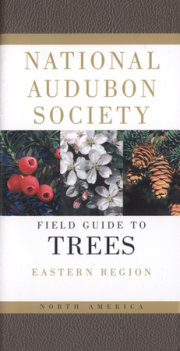 National Audubon Society Field Guide to North American Trees--E 