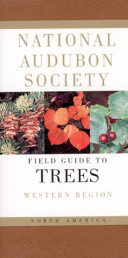 National Audubon Society Field Guide to North American Trees 