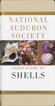 National Audubon Society Field Guide To Shells By National Audubon Society Penguinrandomhousecom Books - 