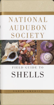 National Audubon Society Field Guide to Shells 