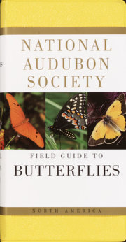 National Audubon Society Field Guide to Butterflies 