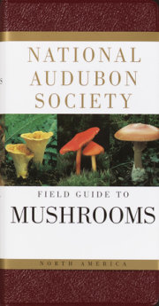 National Audubon Society Field Guide to North American Mushrooms 