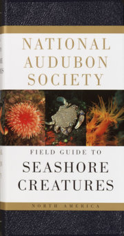 National Audubon Society Field Guide to Seashore Creatures