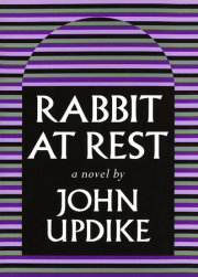 Rabbit At Rest 