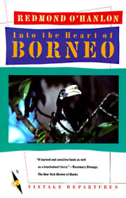 Into the Heart of Borneo 