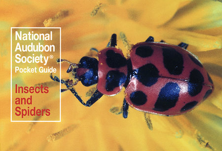 National Audubon Society Pocket Guide: Insects and Spiders by National  Audubon Society: 9780394757926 | PenguinRandomHouse.com: Books