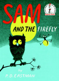 Book cover for Sam and the Firefly