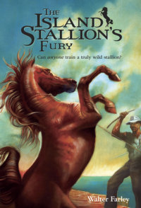 Book cover for The Island Stallion\'s Fury