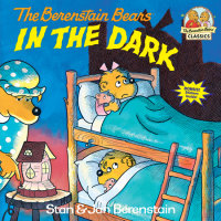 Book cover for The Berenstain Bears in the Dark