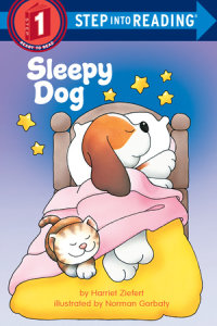 Book cover for Sleepy Dog