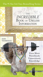 The Incredible Book of Useless Information 