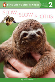 Slow, Slow Sloths 