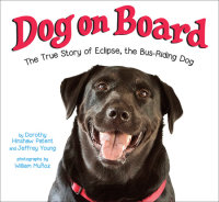 Book cover for Dog on Board