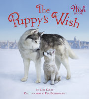 The Puppy's Wish 