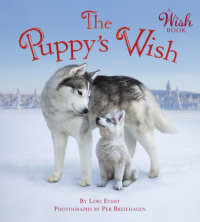 Book cover for The Puppy\'s Wish