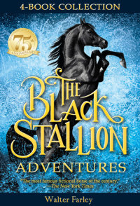 Book cover for The Black Stallion Adventures