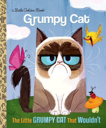 The world's grumpiest cat!