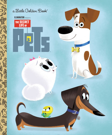 The Secret Life of Pets Little Golden Book (Secret Life of Pets) by Dennis  R. Shealy: 9780399554827 : Books
