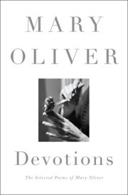 Devotions 