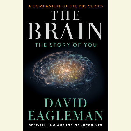 The Brain Cover