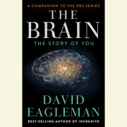 The Brain 