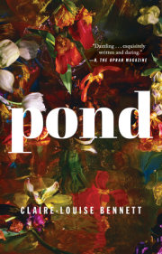 Pond 