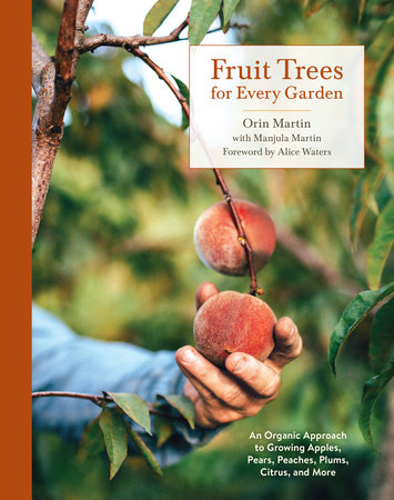 Apple Trees for Sale - Buying & Growing Guide 