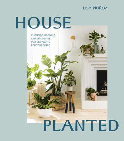 House Planted