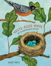 Nests, Eggs, Birds 