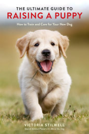 The Ultimate Guide to Raising a Puppy 