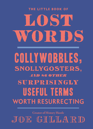 The Little Book Of Lost Words By Joe Gillard Penguinrandomhouse Com Books