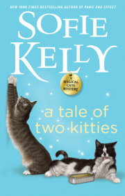 A Tale of Two Kitties 