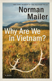 Why Are We in Vietnam? 