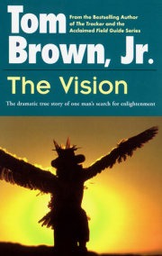 The Vision 