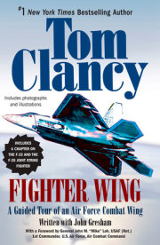 Fighter Wing 