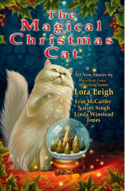 The Magical Christmas Cat 