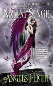 Angels' Flight Novella Box Set