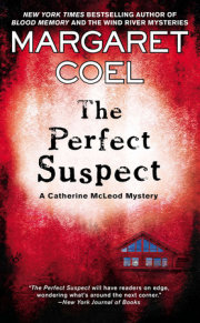 The Perfect Suspect 