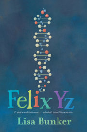 Felix Yz 