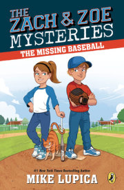 The Missing Baseball 