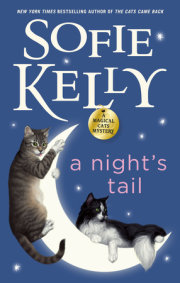 A Night's Tail 
