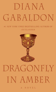 Dragonfly in Amber 