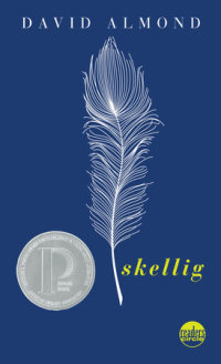 Cover of Skellig cover