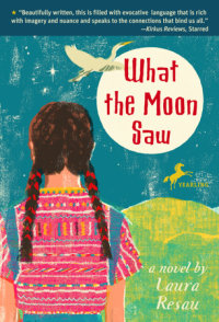 Book cover for What the Moon Saw